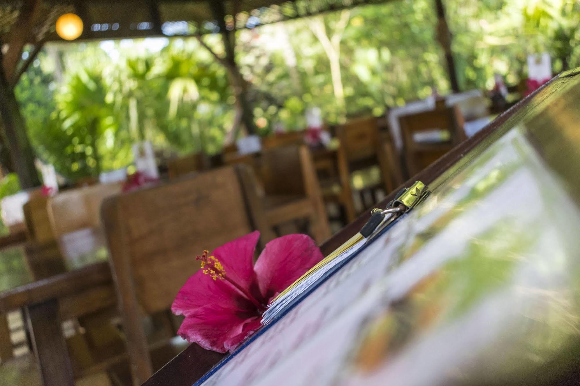 Atlantida Lodge קאוויטה מראה חיצוני תמונה